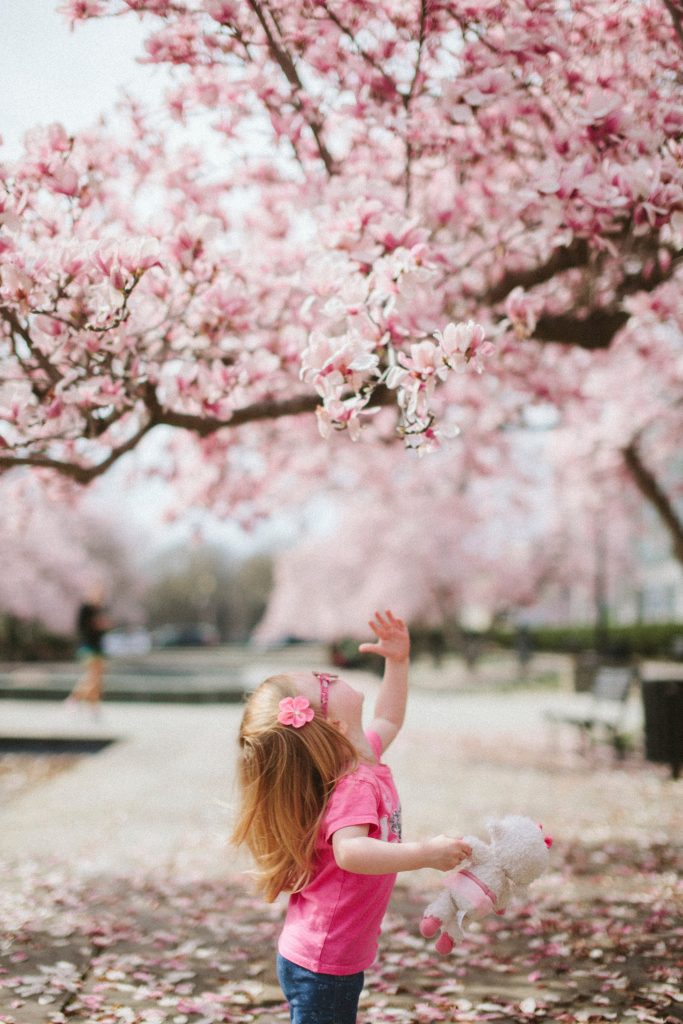 toddler girl reaching up to pink flower tree