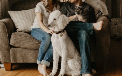 couple sitting with pets on the couch