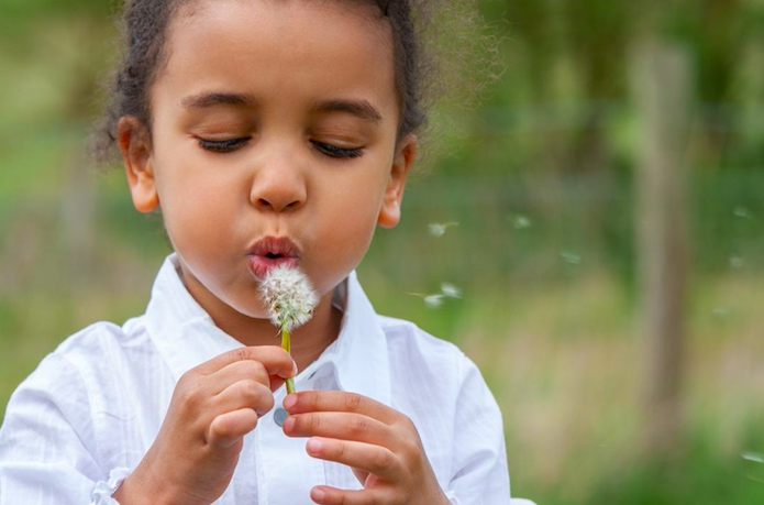 toddler blowing a dandelion