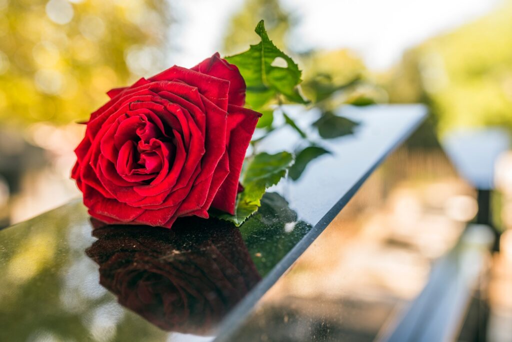 A single red rose placed atop a glass table, highlighting its beauty and the reflective surface beneath.